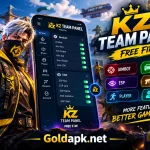 KZ Team Panel
